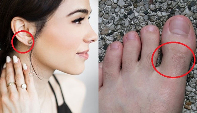 Lông mọc ở 5 vị trí này báo hỷ tín tới nhà, niềm vui tới tấp cuộc sống thênh thang viên mãn