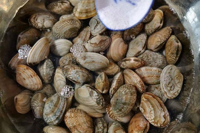 Dân biển mách: Ngâm ngao vào nước gạo hay cho ớt đều sai, muốn loại sạch cát bẩn chỉ có cách này