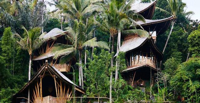 Green Village Bali: Ngôi làng làm hoàn toàn bằng tre duy nhất tại Đông Nam Á