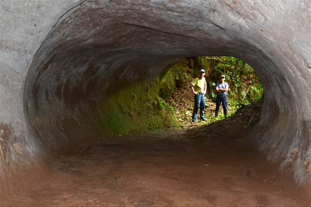 Tìm thấy 10.000 đường hầm 13.000 tuổi: Không phải do người, tác giả là loài khổng lồ này - Ảnh 1.