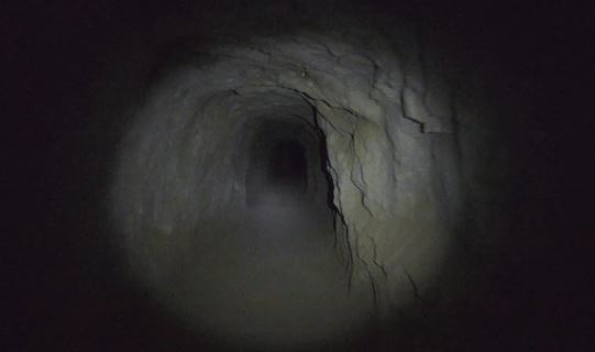 Tìm thấy 10.000 đường hầm 13.000 tuổi: Không phải do người, 'tác giả' là loài khổng lồ này