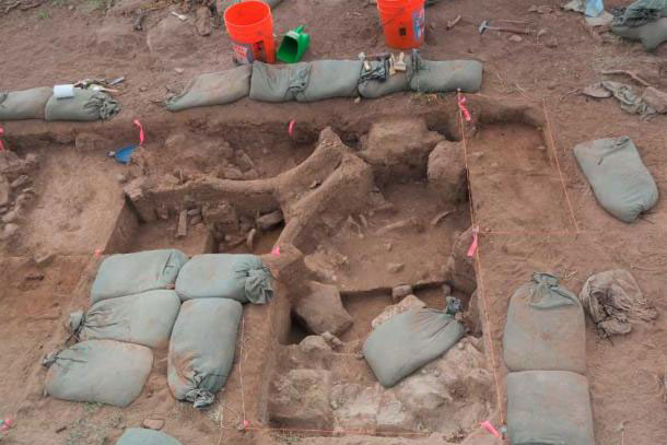 Đi săn quái vật khắp nơi, ai ngờ 2 con... tự trồi lên trước nhà