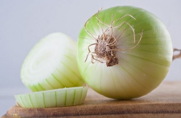 Bí quyết làm dịu vết cắn của côn trùng