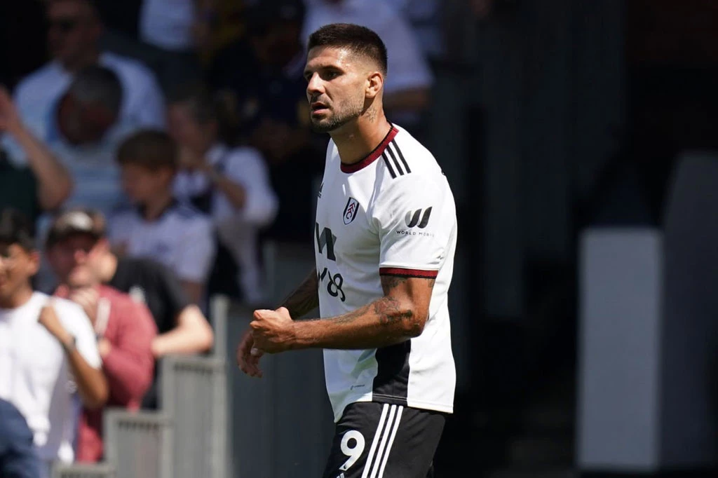 Tiền đạo: Aleksandar Mitrovic (Fulham). Tiền đạo: Aleksandar Mitrovic (Fulham).