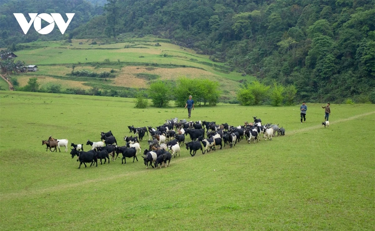 chiem nguong ve dep ky quan mat than nui tai cao bang hinh anh 8