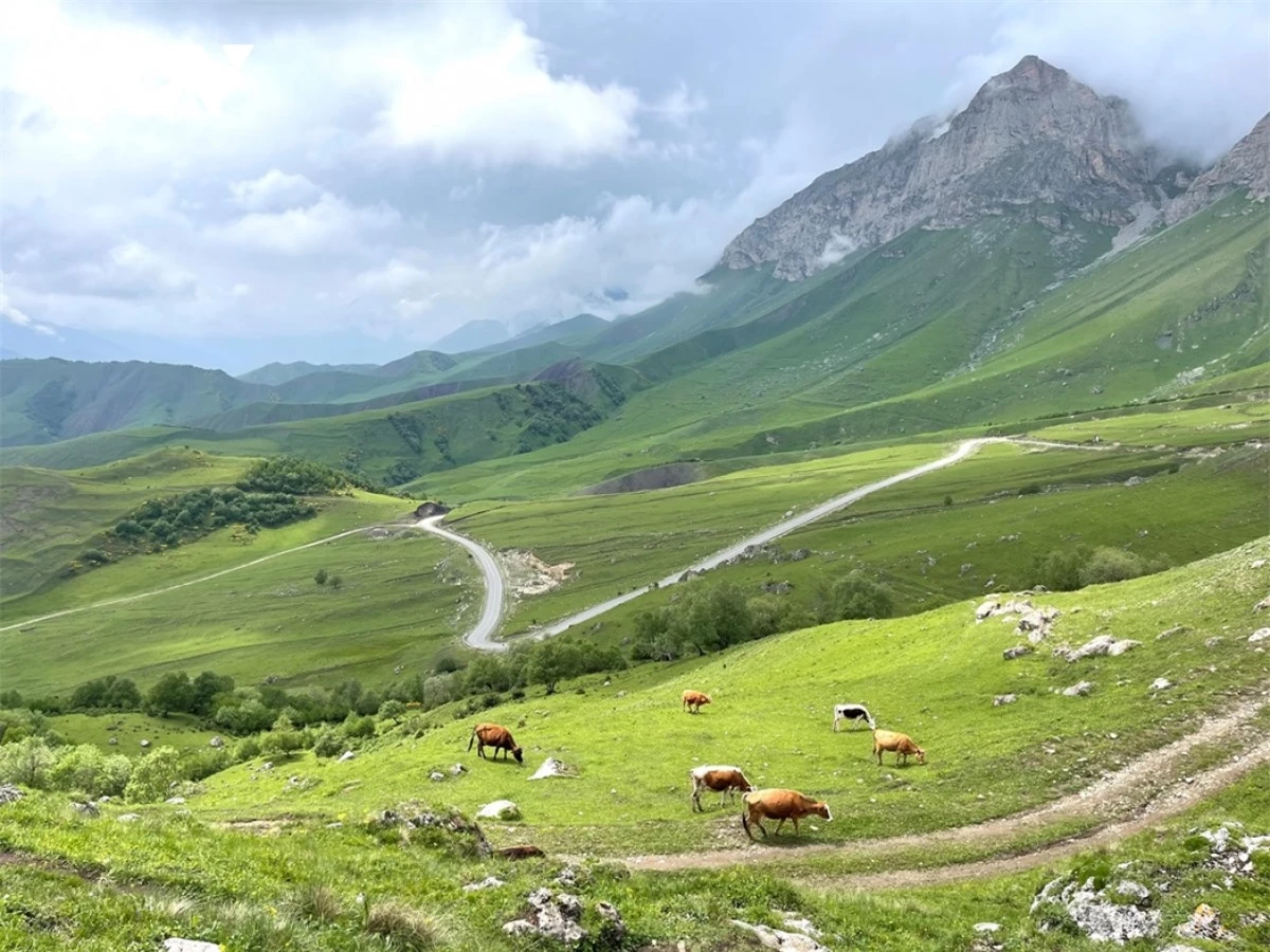 kham pha thien nhien tuyet dep vung bac kavkaz, nga hinh anh 11