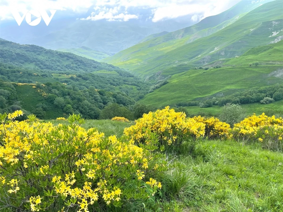 kham pha thien nhien tuyet dep vung bac kavkaz, nga hinh anh 4