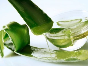 6 mặt nạ "cây nhà lá vườn" giúp trẻ hóa làn da để da mướt mịn sạch khỏe từ trong ra ngoài