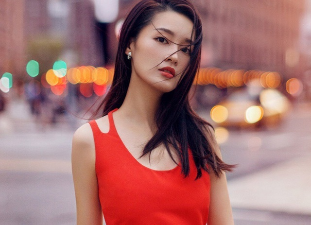 Làm dâu 6 năm không thể sinh con nhưng mẹ chồng vẫn quý như vàng, 1 lần gặp bà từ ngân hàng đi ra, tôi lặng người biết sự thật phía sau