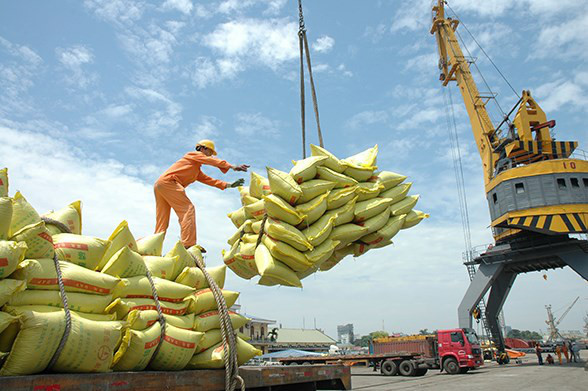 Gạo Việt tiếp tục khẳng định vị thế và giá trị