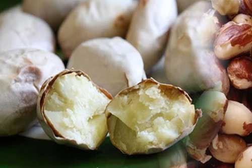 Bộ phận quý nhất của quả mít mà ai cũng vứt bỏ: Ngừa lão hóa ở phụ nữ, đàn ông 'sung mãn' bất ngờ