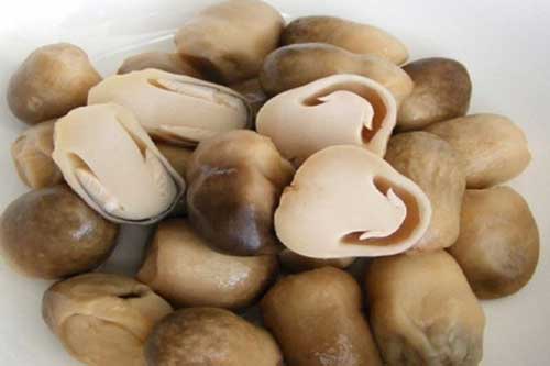 Chuyên gia chia sẻ tác dụng của nấm rơm với sức khỏe con người