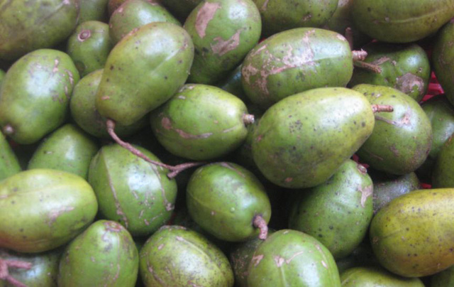 Loại quả rẻ bèo nhưng là 'thần dược' sức khỏe