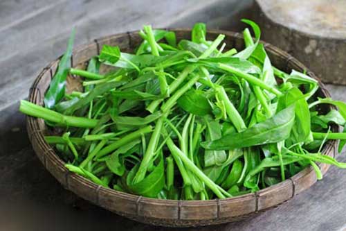 8 loại rau củ chứa hàm lượng axit oxalic cao là nguyên nhân hàng đầu gây sỏi thận