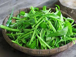 8 loại rau củ chứa hàm lượng axit oxalic cao là nguyên nhân hàng đầu gây sỏi thận