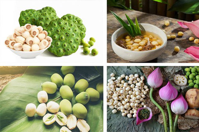 Cách bảo quản hạt sen tươi không bị thâm, mốc để cả năm vẫn bùi, thơm không mất chất