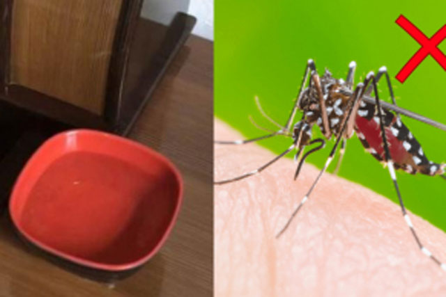 Đặt bát nước này cạnh giường, cả đêm muỗi không dám bén mảng