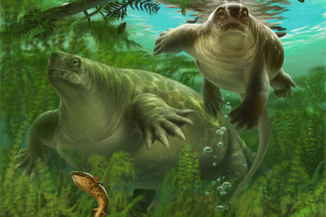 Pháp: Phát hiện quái vật "lai" hà mã, khủng long, rùa... từ lục địa đã mất