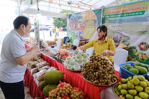 Lạng Sơn: Gần 4.000 ha cây trồng đạt tiêu chuẩn VietGAP, GlobalGAP