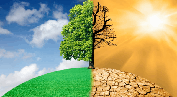 The impact of climate change on economic growth