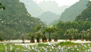 Du lịch sinh thái vườn quốc gia: Phát triển kinh tế kết hợp giáo dục môi trường