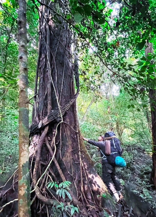 Cao nguyên Di Linh hoang sơ, đẹp quên lối về thu hút giới trẻ ảnh 2