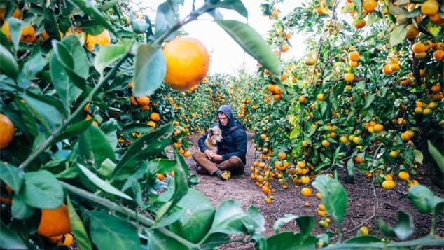 Chàng trai cùng cún cưng đi bộ vòng quanh thế giới suốt 7 năm ảnh 1