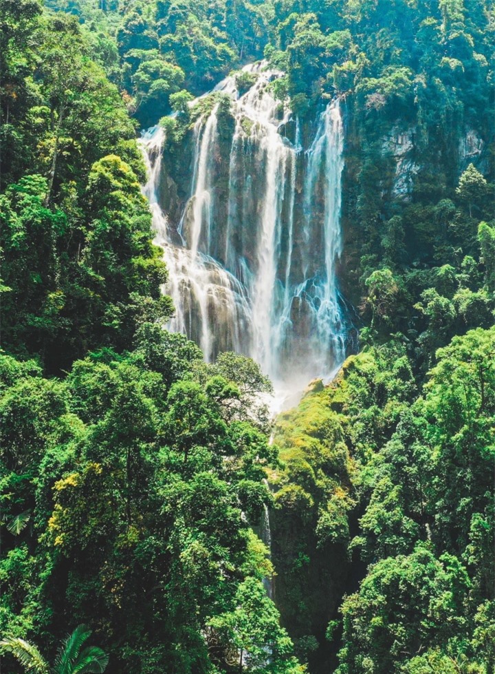 Vẻ nguyên sơ, hoang dại ở ngọn thác khó chinh phục bậc nhất núi rừng Tuyên Quang - 1