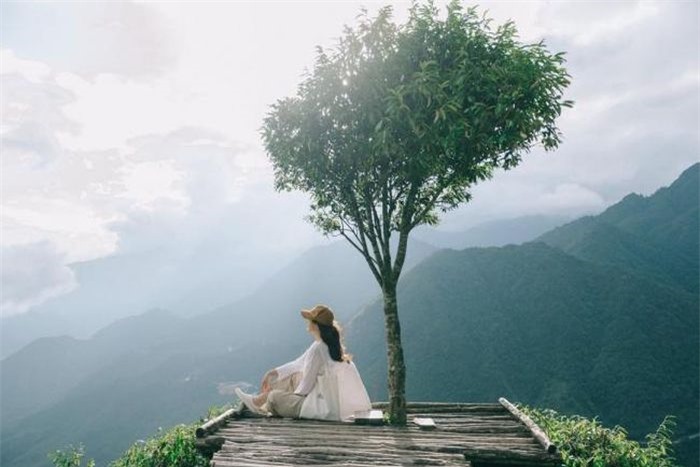  Nằm trong khu vực đỉnh đèo Ô Quý Hồ, cây cô đơn tại Sa Pa (Lào Cai) tuy không to lớn như những địa điểm khác nhưng là một trong những điểm tham quan, chụp ảnh nổi tiếng. Ảnh: alongwalker. 
