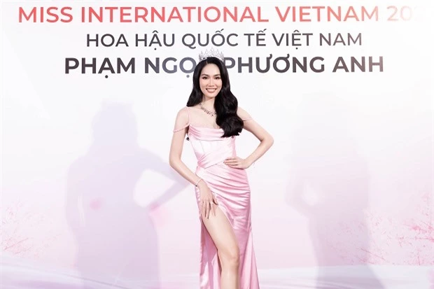 4 mỹ nhân Việt sắp chinh chiến quốc tế: Mai Phương - Phương Anh được kỳ vọng cao, có người gây lo lắng vì vốn ngoại ngữ - Ảnh 8.