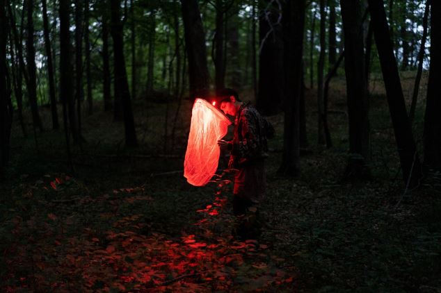 Những chú đom đóm mãi chờ màn đêm không bao giờ đến: Ô nhiễm ánh sáng đang từ từ giết chết hành tinh