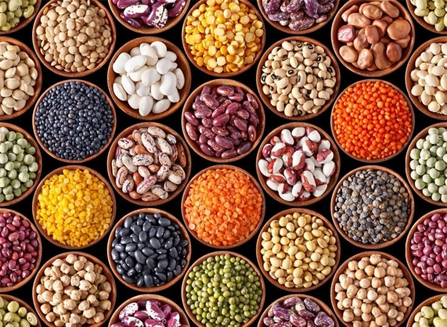 30beans-legumes-pulses_yxre