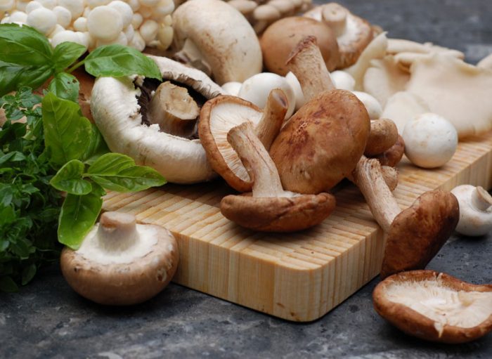 Có nên ăn nấm trong ngày thời tiết mưa bão?