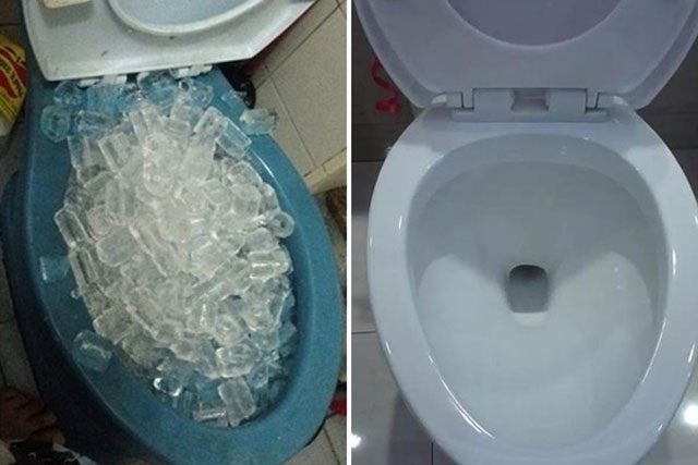 Đổ cả túi đá lạnh vào bồn cầu tưởng ngớ ngẩn hóa ra nhận được nhiều lợi ích bất ngờ ai cũng muốn