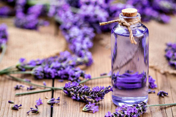 5 mùi hương giúp tâm trí thư giãn