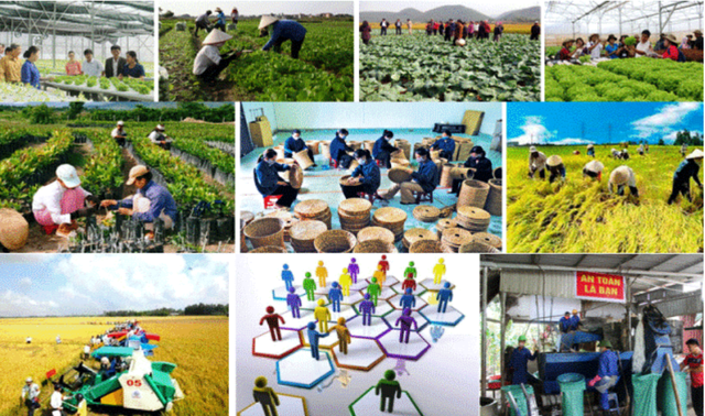 Phát triển kinh tế tập thể - Xu thế tất yếu trong bối cảnh hội nhập quốc tế