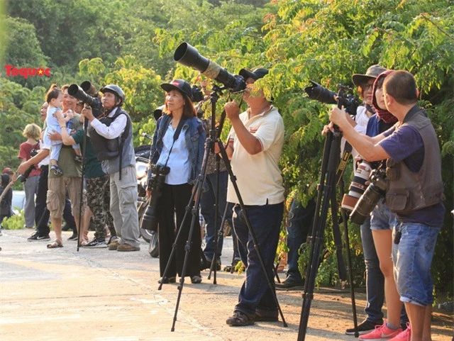 Mê mẩn mùa hoa tím trên bán đảo Sơn Trà - Ảnh 11.