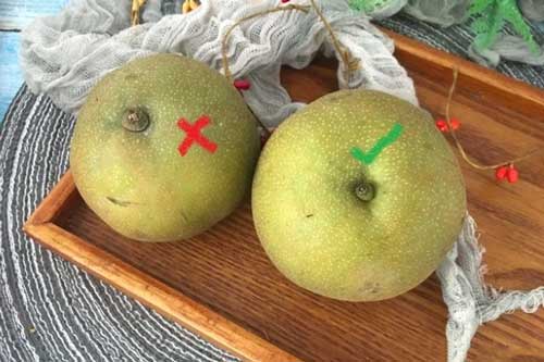 2 bí quyết chọn lê giòn ngọt, không "ngậm" hóa chất