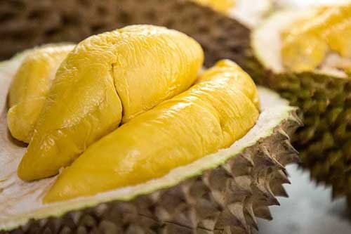 Cách chọn sầu riêng "bách phát bách trúng", đảm bảo nhiều cơm lại ngọt lịm, không sượng