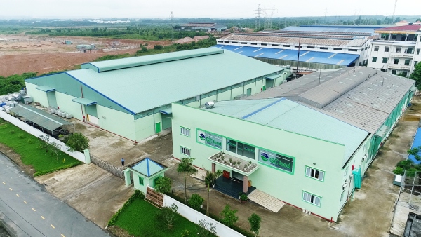 Bán thạch dừa tại hơn 20 quốc gia, một doanh nghiệp đang giúp tiêu thụ tới 6 triệu lít nước dừa Bến Tre mỗi năm