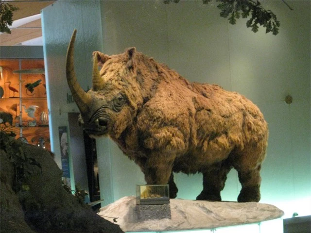 Những loài động vật thời tiền sử khổng lồ đáng kinh ngạc từ Trái Đất cổ đại - Ảnh 5.