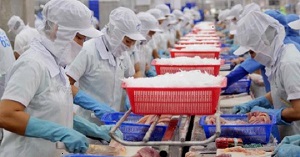 Xuất khẩu cá tra giảm mạnh, thấp nhất trong 5 tháng qua