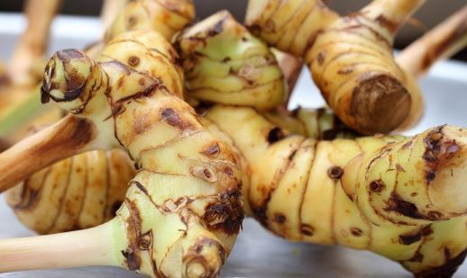 Tác dụng chữa bệnh của củ riềng có thể bạn chưa biết