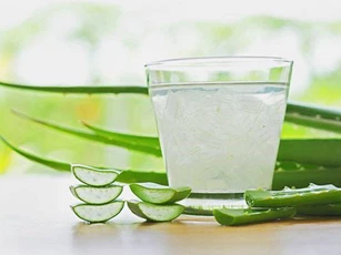 Cách chọn và sơ chế nha đam chị em nội trợ cần biết