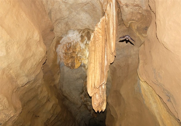 Khám phá hang động đẹp như tiên cảnh ở xứ Thanh - Ảnh 6.