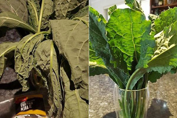 Thấy rau héo đừng vội vứt đi, làm cách này rau tươi rói chỉ trong tích tắc