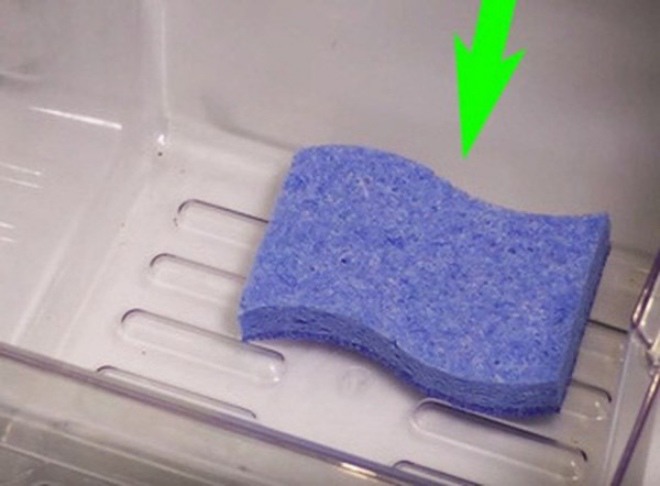 Bỏ miếng bọt biển vào tủ lạnh, biết công dụng ai cũng muốn học theo ngay