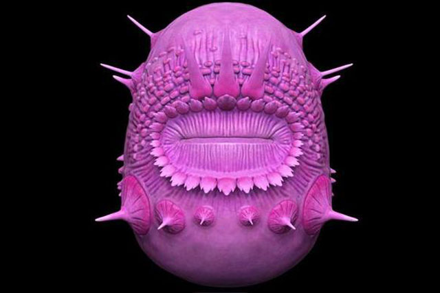 Trung Quốc đào được "tổ tiên của nhân loại" 540 triệu tuổi, như yêu tinh?