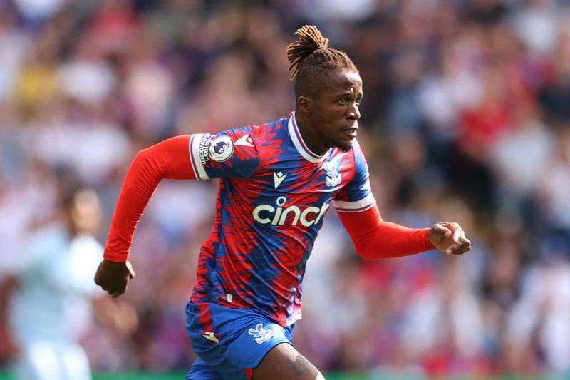 Tiền đạo: Wilfried Zaha (Crystal Palace).