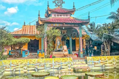 Ngôi chùa có hồ sen ‘mọc’ lên từ hố bom, lá sen khổng lồ có thể đỡ được cả người